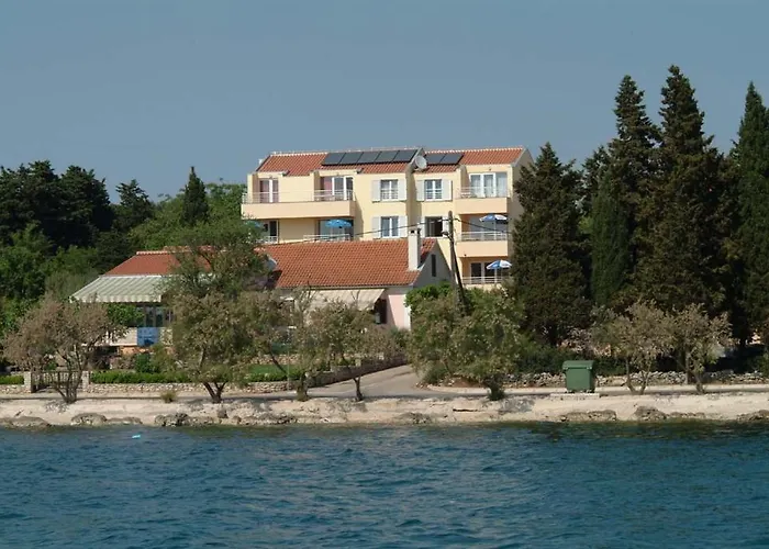 Daire Basioli *
