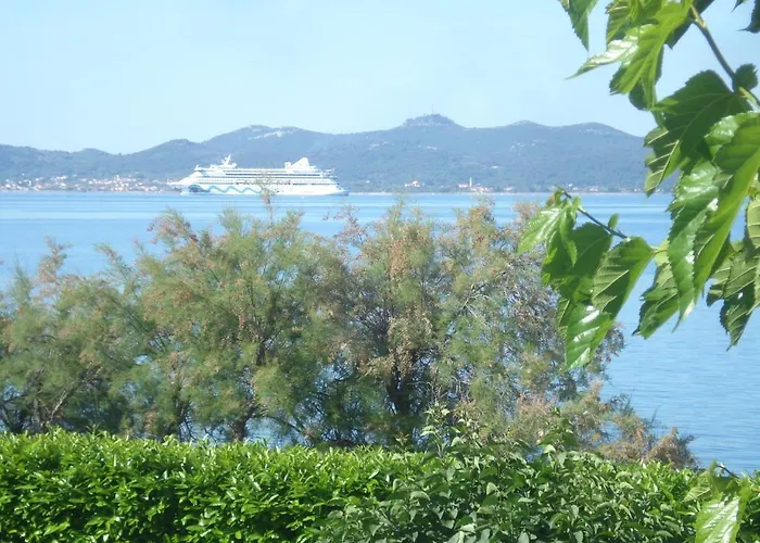 Basioli Daire
